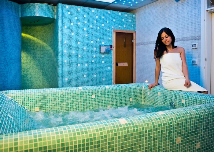 ホテル Park La Grave 4*