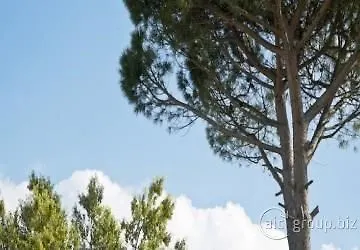 Park La Grave Hotel Castellana Grotte